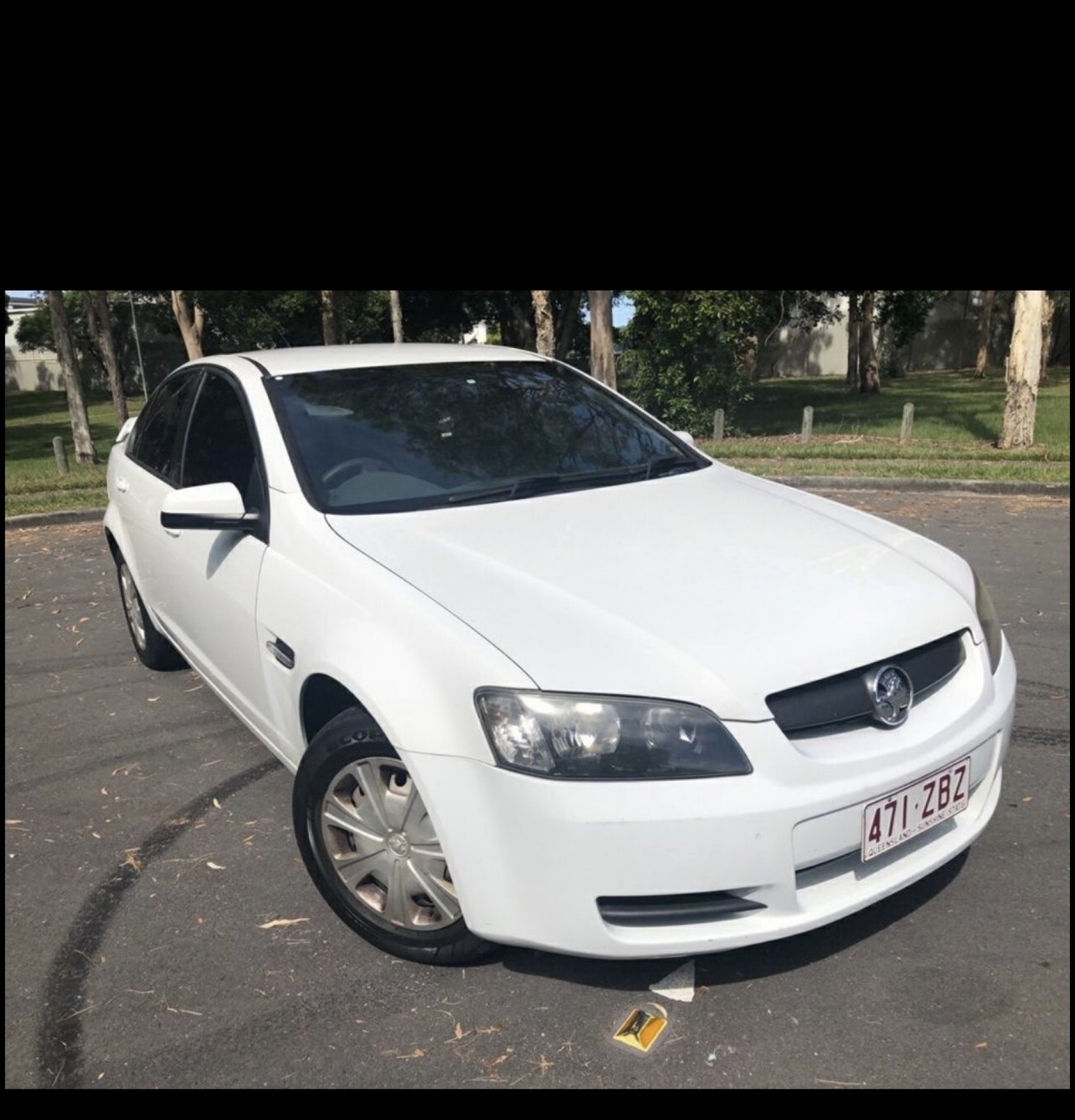 Labrador HOLDEN Commodore ve
