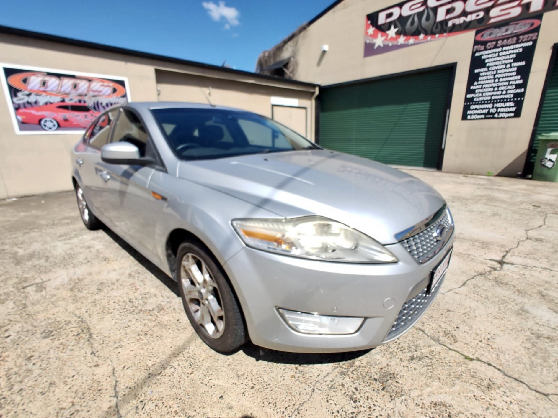 Labrador FORD MONDEO