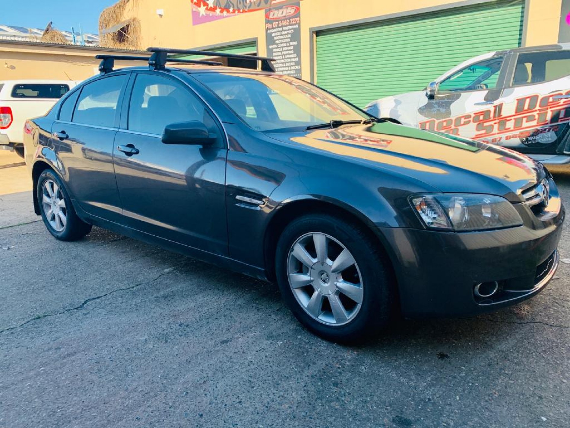 Labrador HOLDEN Commodore ve berlina