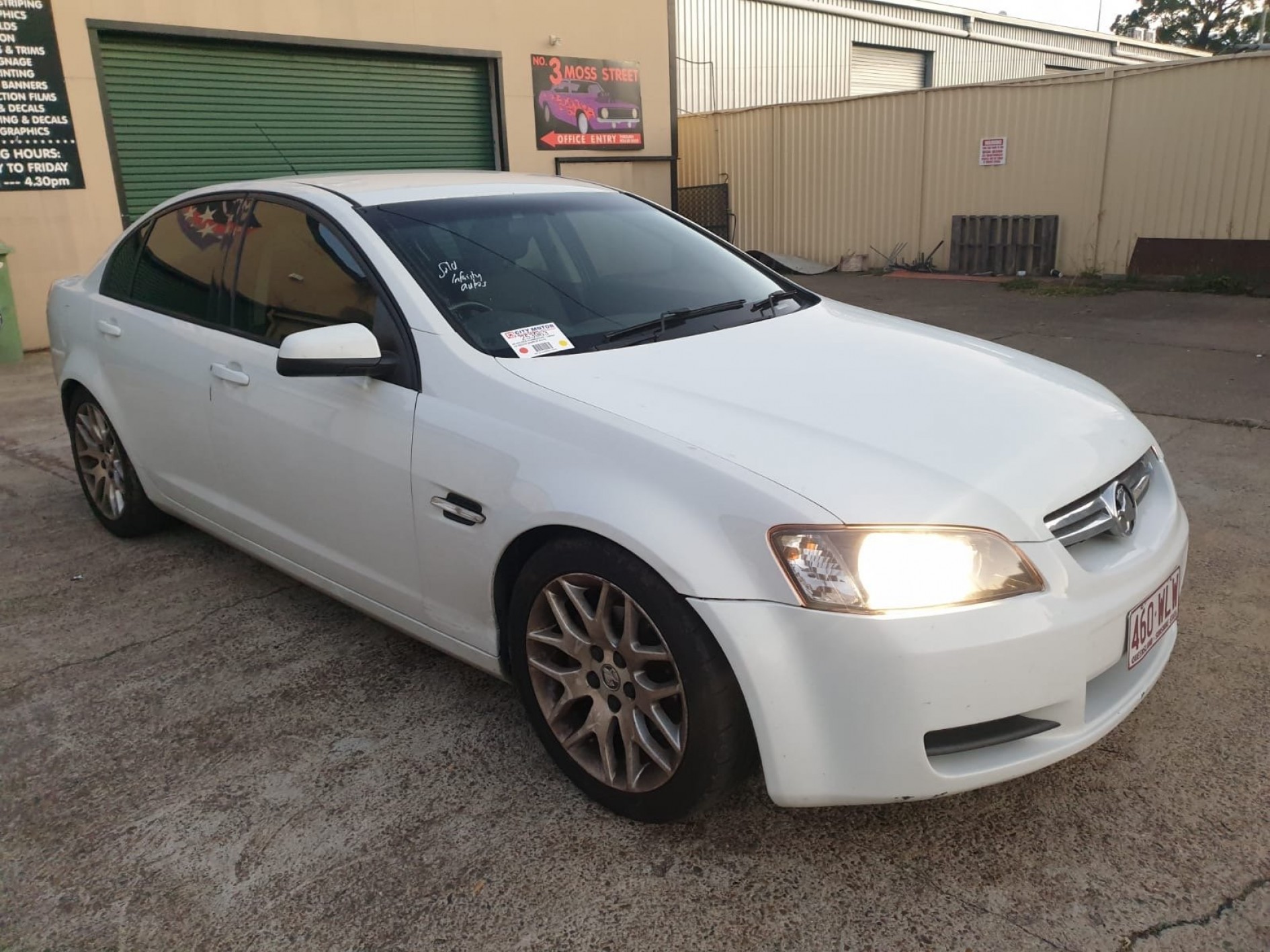 Labrador HOLDEN Commodore lumina ve