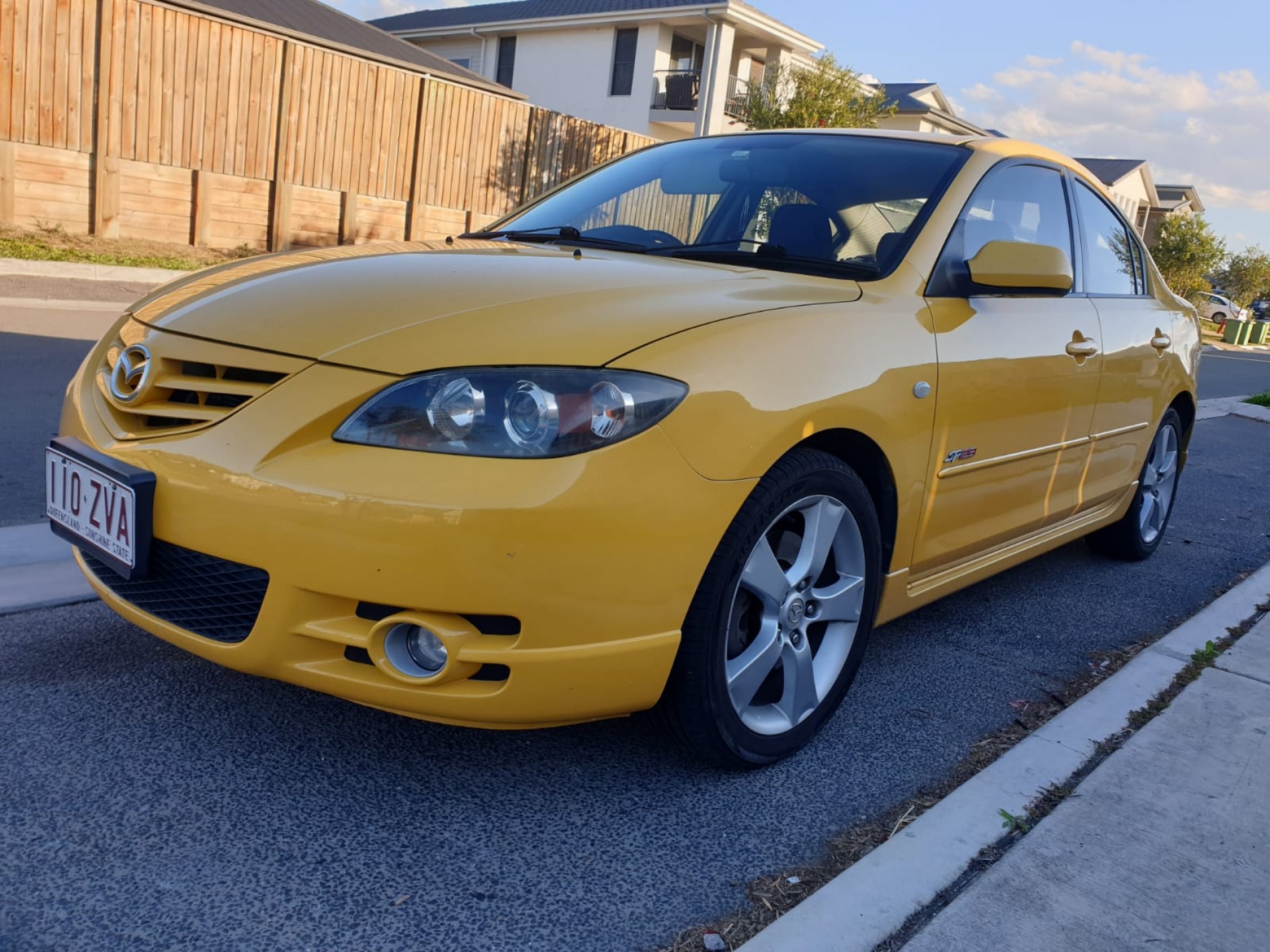 Labrador MAZDA Mazda sp23