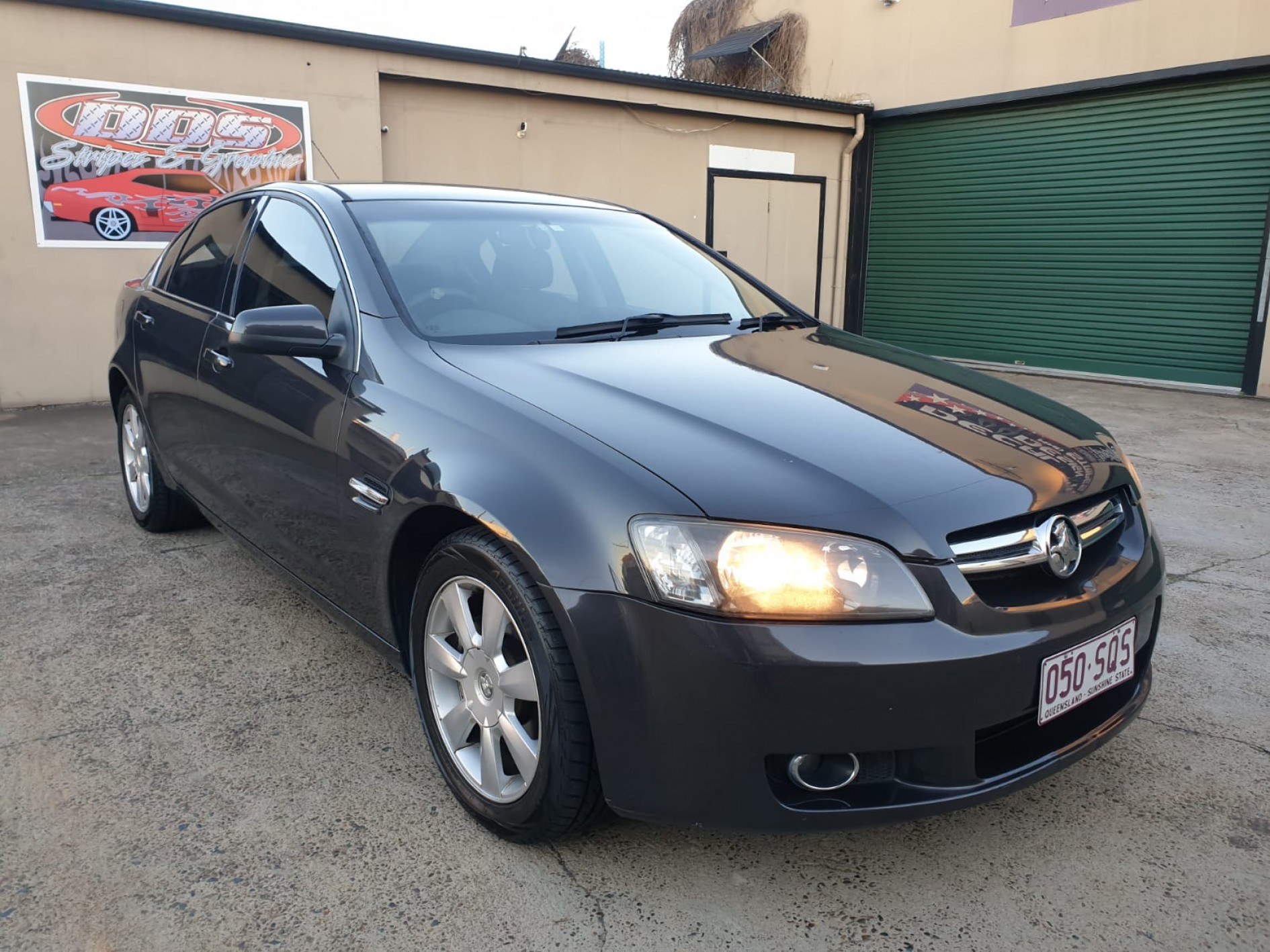 Labrador HOLDEN Commodore ve berlina