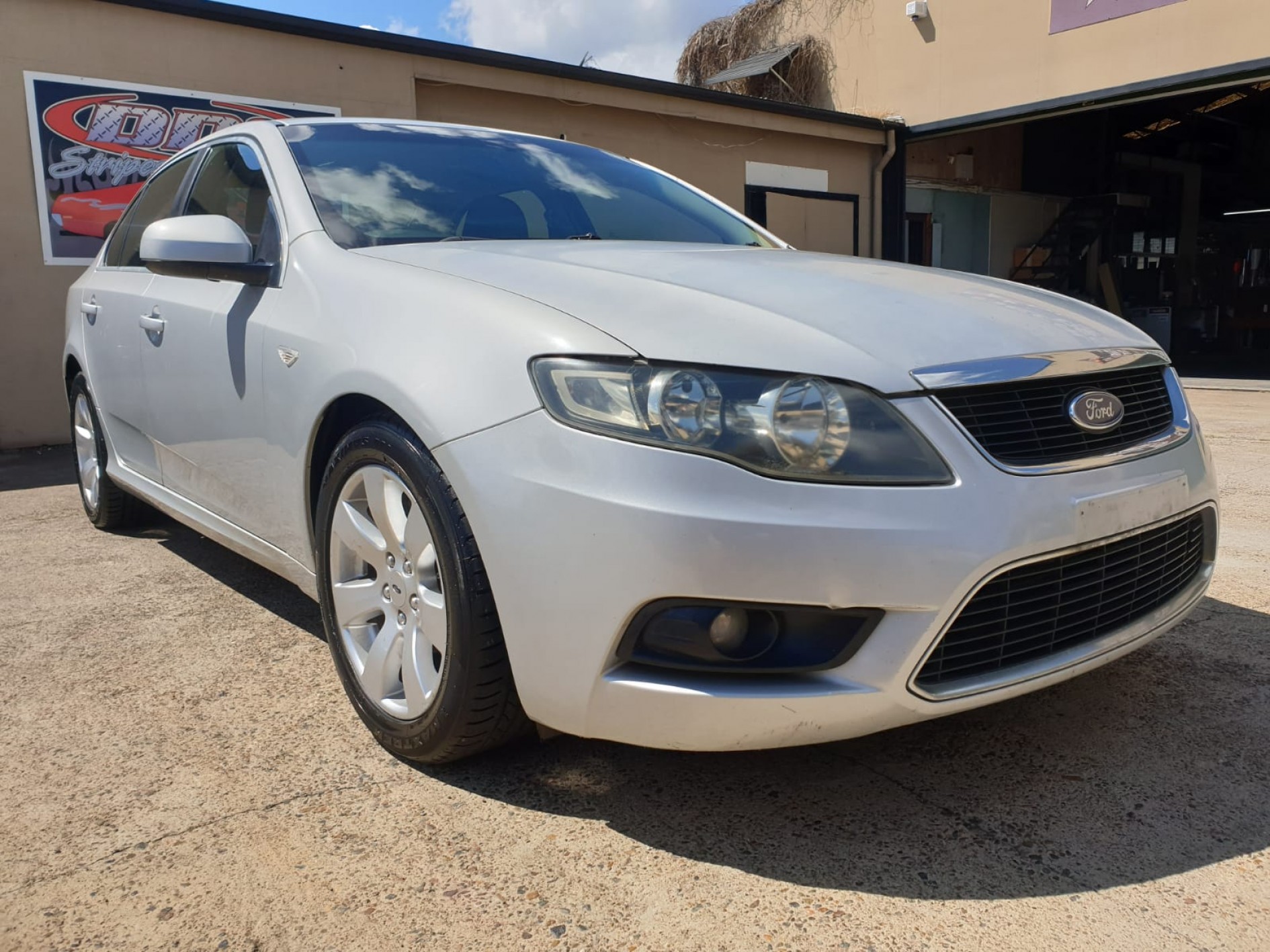 Labrador FORD Falcon g6 luxury
